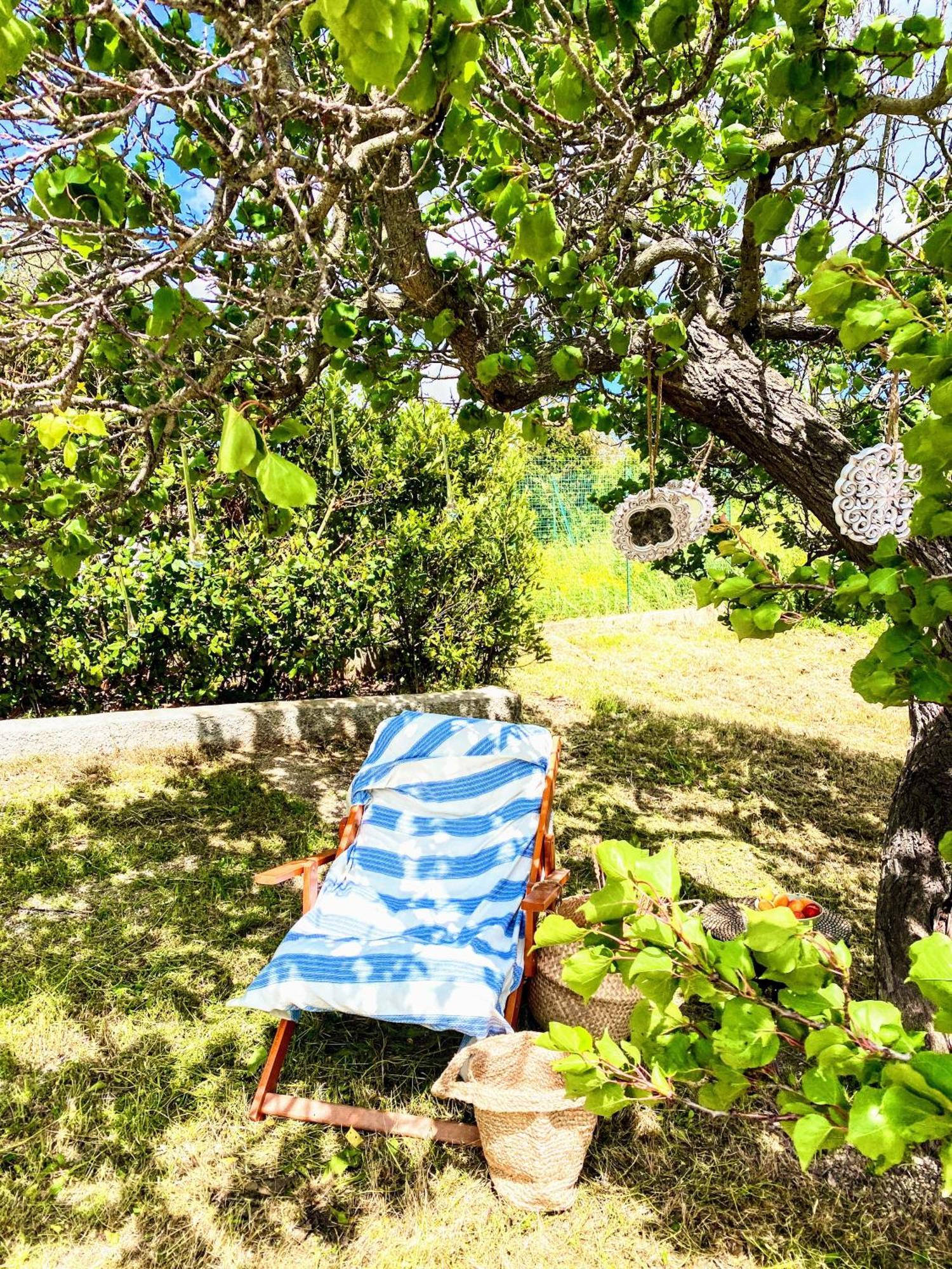 Trulli And Pool - I Cactus Villa Martina Franca Exterior foto